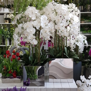 Kompozycja storczyk sztuczny silikon Mirror