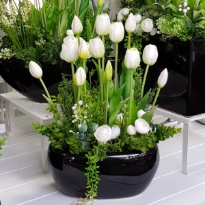 Kompozycja tulipany białe Susanna czarna donica 