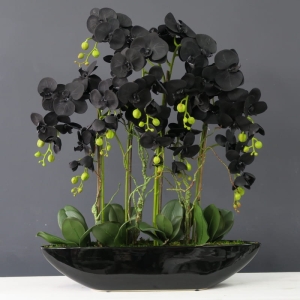 Czarny storczyk sztuczny black orchidea Glera XL