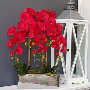 Sztuczny czerwony storczyk orchidea welur rubin prostokątna donica silver