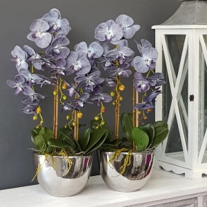 Kompozycja storczyk sztuczny navy grey orchidea Lilia