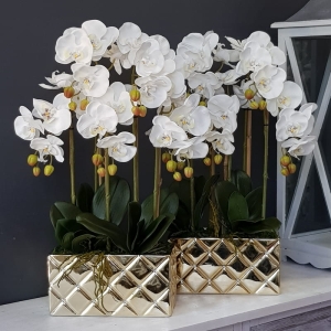 Storczyk sztuczny orchidea silikon biały Roxy gold