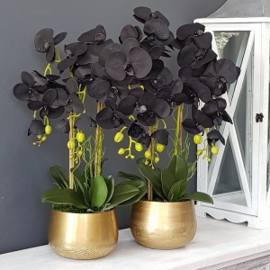 Czarny storczyk sztuczny black orchidea gold 