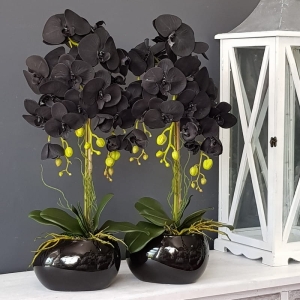 Czarny storczyk sztuczny black orchidea Adele