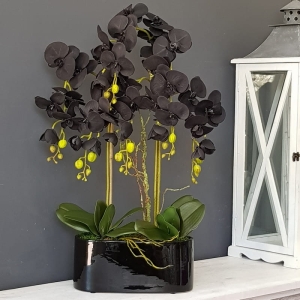 Czarny storczyk sztuczny black orchidea Irma