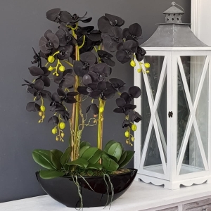 Czarny storczyk sztuczny black orchidea Glera L