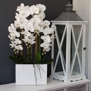 Sztuczny storczyk orchidea silikon biały Xenia white