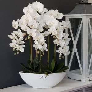 Sztuczny storczyk orchidea silikon biały Xara white