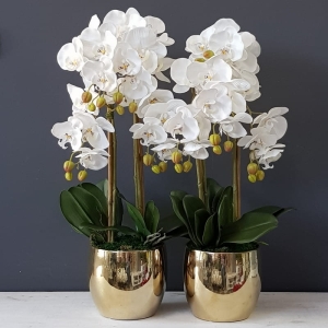 Sztuczny storczyk orchidea silikon biały Nava gold