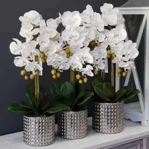 Sztuczny storczyk orchidea silikon biały Drop silver M