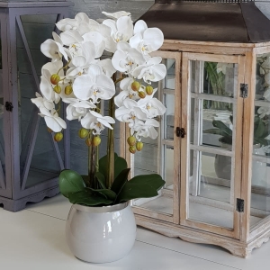 Storczyk sztuczny orchidea silikonowa Bonie beż