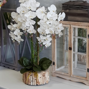 Storczyk sztuczny orchidea silikonowa Wood donica