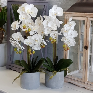 Storczyk sztuczny orchidea silikonowa betonowa donica Heavy