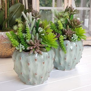 Sukulenty kaktusy donica green M