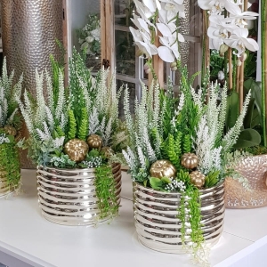 Wrzosy biała kompozycja w donicy Jasmine gold