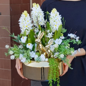 Kompozycja Eva spring hiacynty donica gold L 