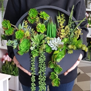 Sukulenty kaktusy kompozycja donica ścienna Esther Czarna M 40cm