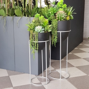 Sukulenty kaktusy kompozycja donica stojak kwietnik Elvira czarna silver M 75cm