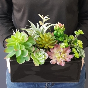 Sukulenty kaktusy donica podłużna Grace czarna B 26cm
