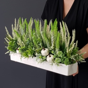 Wrzosy wrzośce donica podłużna Carry biała długa 50cm