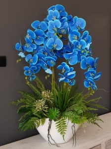 Storczyk orchidea donica Veronica XXL biała błysk storczyk niebieski