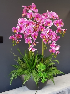 Storczyk orchidea donica Veronica XXL grafit mat storczyk różowy