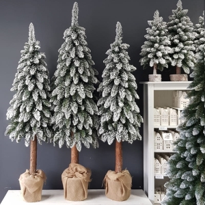 Choinka na pniu drzewko sosna Polski Producent Pinus snow 180cm