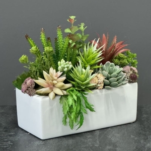 Sukulenty kaktusy donica podłużna Grace biała 26cm wz.11