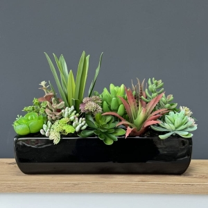 Sukulenty kaktusy donica podłużna Dolce czarna C 33cm