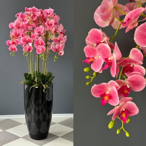 Kompozycja biały storczyk orchidea donica black Andrea new pink