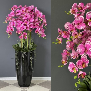 Kompozycja biały storczyk orchidea donica black Andrea dark pink