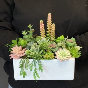 Sukulenty kaktusy donica podłużna Grace biała 26cm wz.15