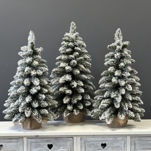 Choinka Polski Producent JODŁA wycinka snow juta 75 cm