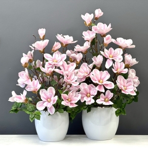 Magnolia magnolie silikon kompozycja kwiatowa gold XL jasny róż
