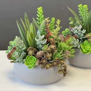 Sukulenty kaktusy donica beton kompozycja Pilea wz.2