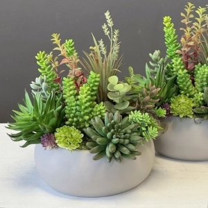 Sukulenty kaktusy donica beton kompozycja Pilea wz.3