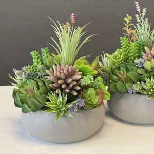 Sukulenty kaktusy donica beton kompozycja Pilea wz.4