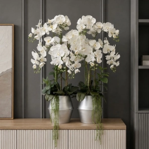 Kompozycja ze storczykami orchidea w donicy Miranda Premium silver