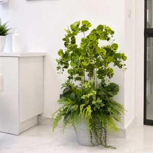 Kompozycja ze storczykami orchidea w donicy Verde Premium